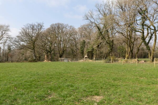 Eithinman, Llandissilio, Clynderwen, SA66