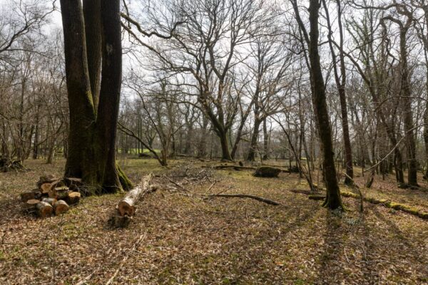 Eithinman, Llandissilio, Clynderwen, SA66