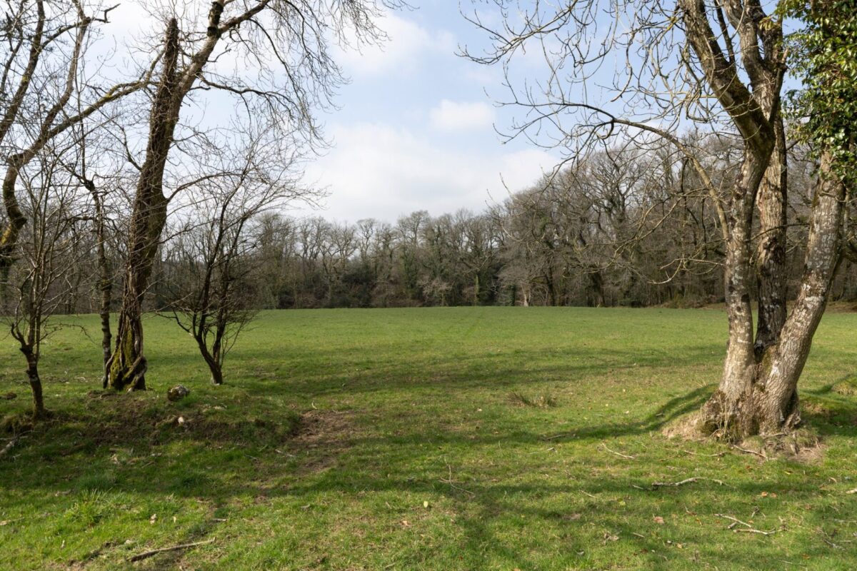 Eithinman, Llandissilio, Clynderwen, SA66