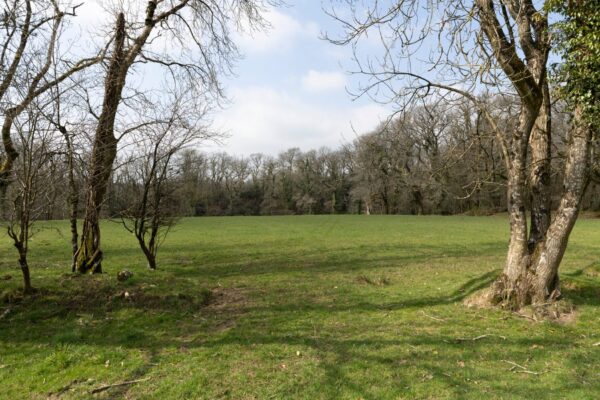 Eithinman, Llandissilio, Clynderwen, SA66