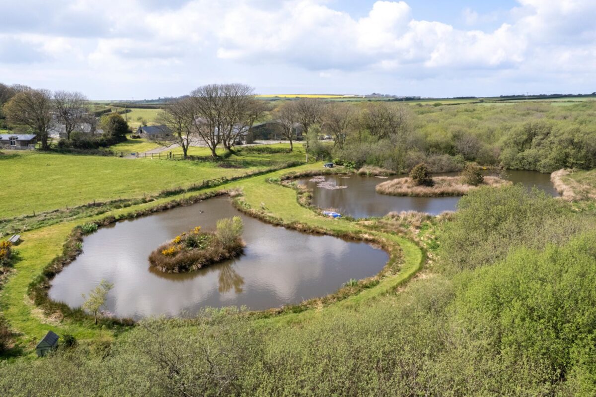 Priskilly Fawr Farm, Hayscastle, Haverfordwest, SA62