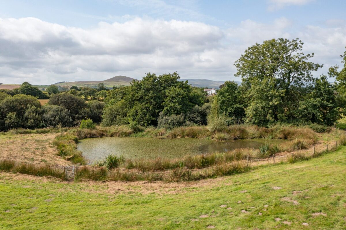 Gorsfraith, Blaenffos, Boncath, SA37