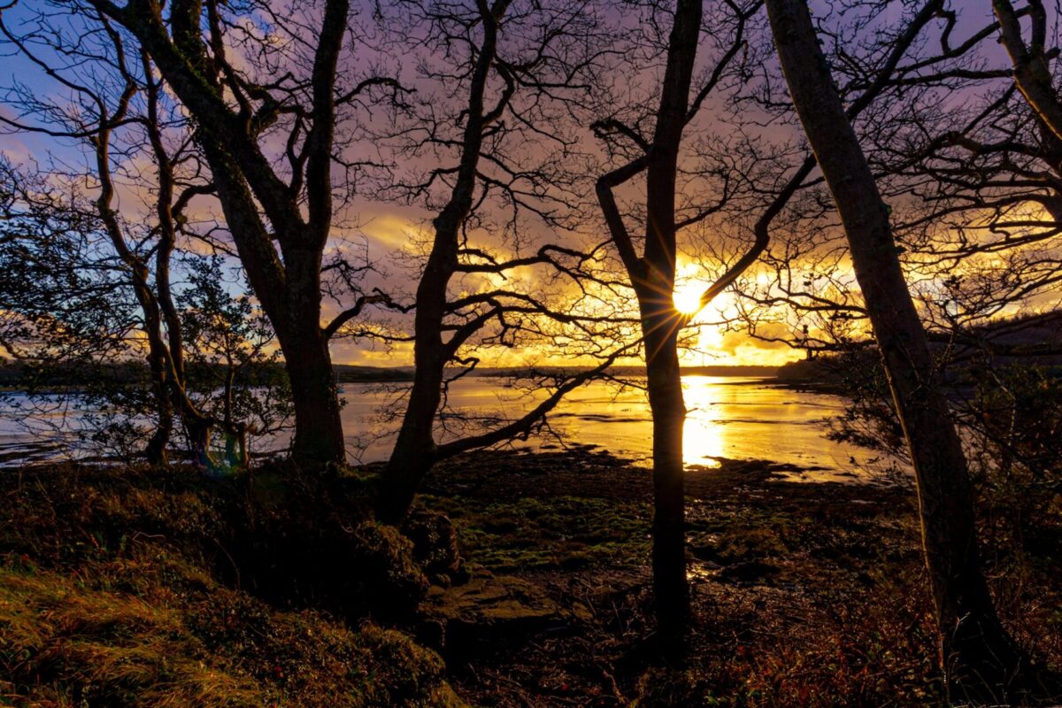 3 Picton Home Farm Barns, The Rhos, Haverfordwest, SA62