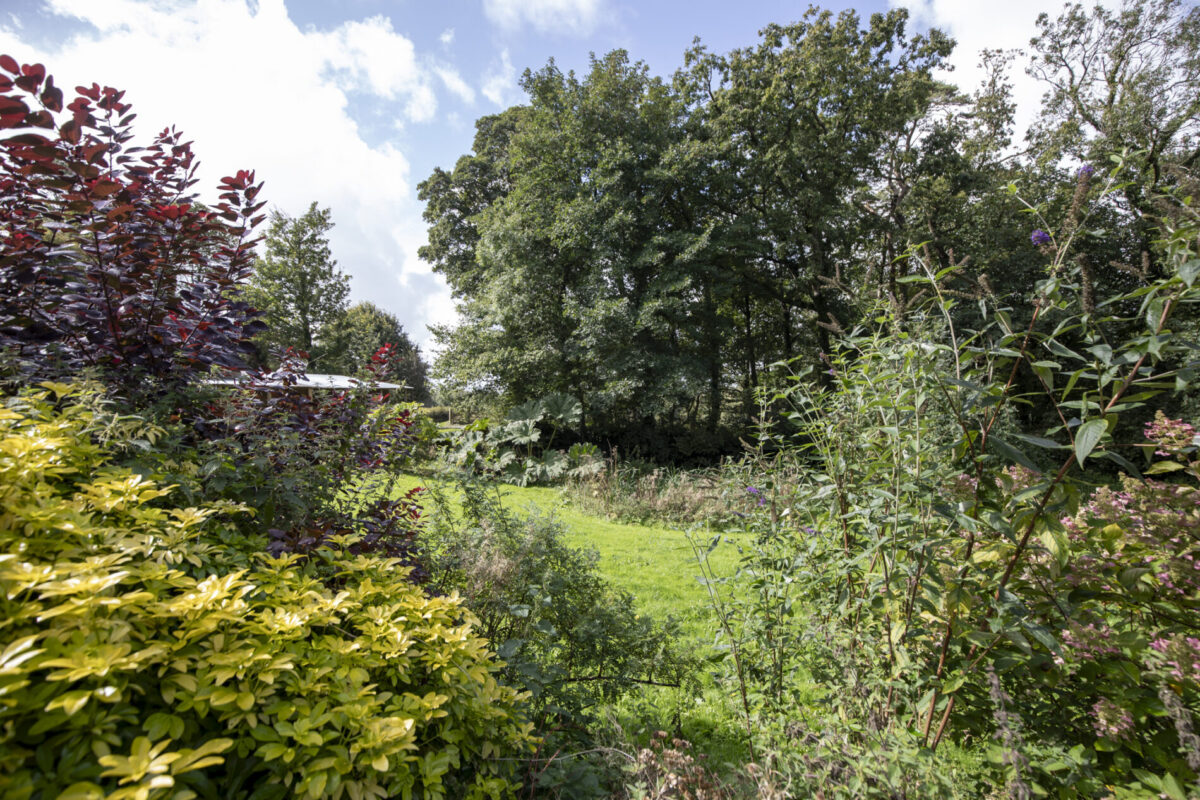 Clarbeston Road, SA63