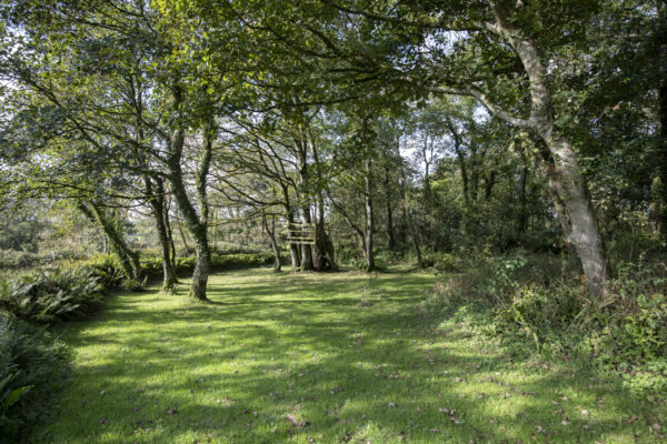 Clarbeston Road, SA63