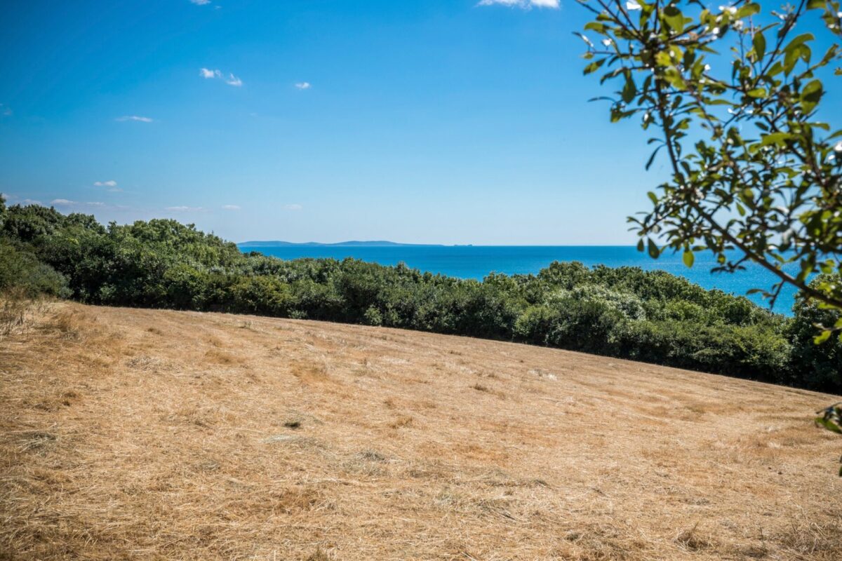 Furzewood Farm & Amroth Cottages, Amroth, Narberth, SA67