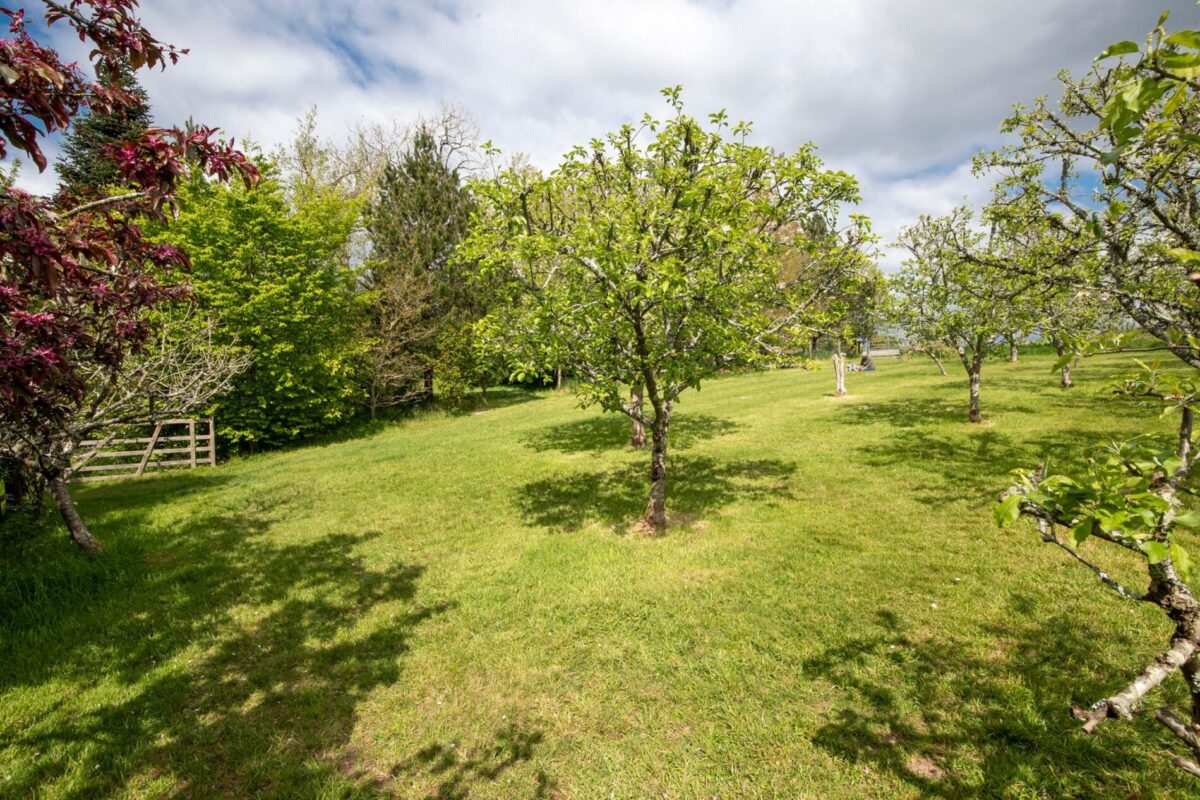 Lower Calfield, Camrose, Haverfordwest, SA62