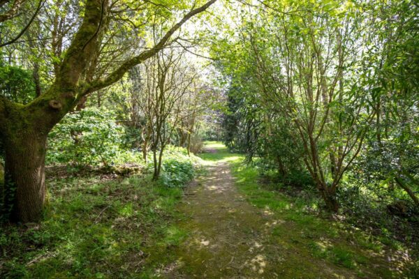 Lower Calfield, Camrose, Haverfordwest, SA62