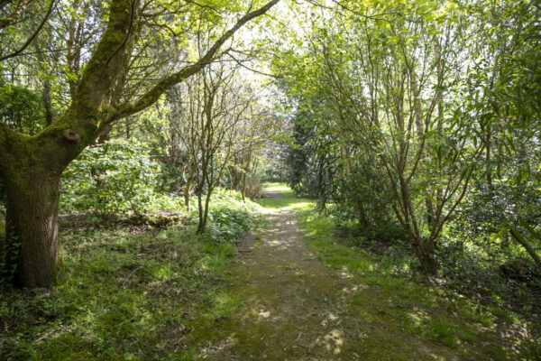 Camrose, Haverfordwest, SA62