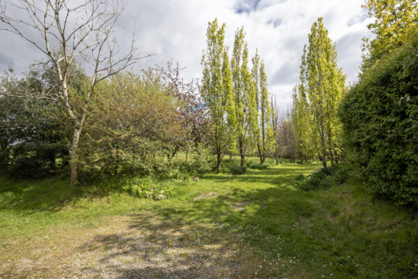 Camrose, Haverfordwest, SA62