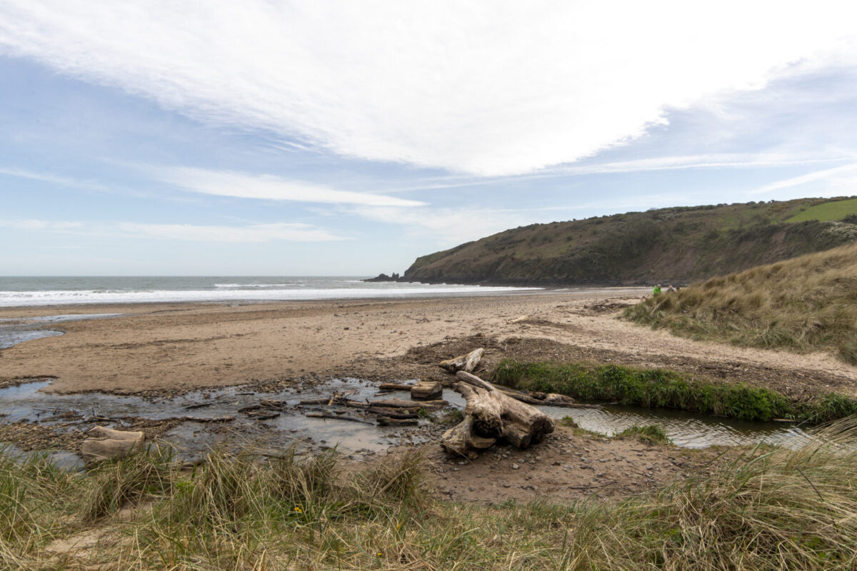 Trewent Hill, Freshwater East, SA71