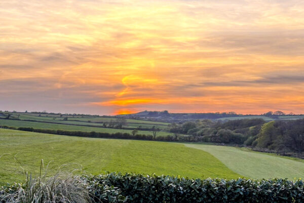 Camrose, Haverfordwest, SA62